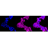 KD-Validated ATP2A2 Rabbit mAb (20 μl)
