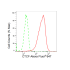 KD-Validated CTCF Rabbit mAb (20 μl)