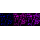 KD-Validated CTCF Rabbit mAb (20 μl)