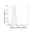 KD-Validated CAPN1 Rabbit mAb (20 μl)