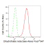 KD-Validated DHFR Rabbit mAb (20 μl)
