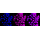 KD-Validated DHFR Rabbit mAb (20 μl)