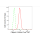 KD-Validated CAPN2 Rabbit mAb (20 μl)