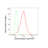 KD-Validated DDX5 Rabbit mAb (20 μl)