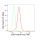 KD-Validated CD97 Rabbit mAb (20 μl)