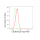 KD-Validated CD166 Rabbit mAb (20 μl)