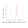 KD-Validated CLIC4 Rabbit mAb (20 μl)