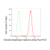 KD-Validated CLIC4 Rabbit mAb (20 μl)
