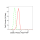 KD-Validated CSDE1 Rabbit mAb (20 μl)