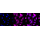 KD-Validated CSDE1 Rabbit mAb (20 μl)