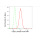 KD-Validated CSE1L Rabbit mAb (20 μl)