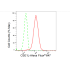 KD-Validated CSE1L Rabbit mAb (20 μl)