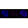 KD-Validated CSE1L Rabbit mAb (20 μl)