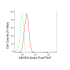 KD-Validated ABHD5 Rabbit mAb (20 μl)