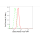 KD-Validated CBX2 Rabbit mAb (20 μl)
