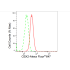 KD-Validated CBX2 Rabbit mAb (20 μl)