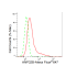 KD-Validated ANP32B Rabbit mAb (20 μl)