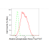 KD-Validated ALPI Rabbit mAb (20 μl)