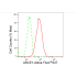 KD-Validated ABCE1 Rabbit mAb (20 μl)
