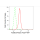 KD-Validated ACBD3 Rabbit mAb (20 μl)