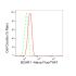 KD-Validated BCAR1 Rabbit mAb (20 μl)