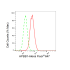 KD-Validated APBB1 Rabbit mAb (20 μl)