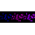 KD-Validated BCAP31 Rabbit mAb (20 μl)
