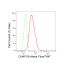 KD-Validated CHAF1B Rabbit mAb (20 μl)