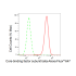 KD-Validated CBFB Rabbit mAb (20 μl)