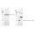 KD-Validated CBFB Rabbit mAb (20 μl)