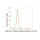 KD-Validated COMT Rabbit mAb (20 μl)