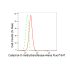 KD-Validated COMT Rabbit mAb (20 μl)