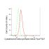 KD-Validated CBS Rabbit mAb (20 μl)