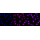 KD-Validated CBS Rabbit mAb (20 μl)