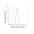 KD-Validated AP2S1 Rabbit mAb (20 μl)