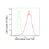 KD-Validated CD97 Rabbit mAb (20 μl)