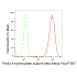 KD-Validated PDIA1 Rabbit mAb (20 μl)