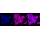 KD-Validated CANX Rabbit mAb (20 μl)