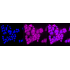 KD-Validated CANX Rabbit mAb (20 μl)