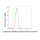 KD-Validated GSR Rabbit mAb (20 μl)