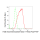 KD-Validated HSF1 Rabbit mAb (20 μl)