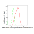KD-Validated HSF1 Rabbit mAb (20 μl)