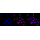 KD-Validated HSF1 Rabbit mAb (20 μl)