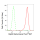 KD-Validated Hsp90 beta Rabbit mAb (20 μl)