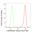 KD-Validated Hsp90 beta Rabbit mAb (20 μl)