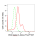 KD-Validated LIG4 Rabbit mAb (20 μl)