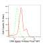 KD-Validated LIG4 Rabbit mAb (20 μl)