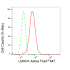 KD-Validated LMAN1 Rabbit mAb (20 μl)