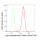 KD-Validated LOXL2 Rabbit mAb (20 μl)