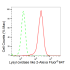 KD-Validated LOXL2 Rabbit mAb (20 μl)